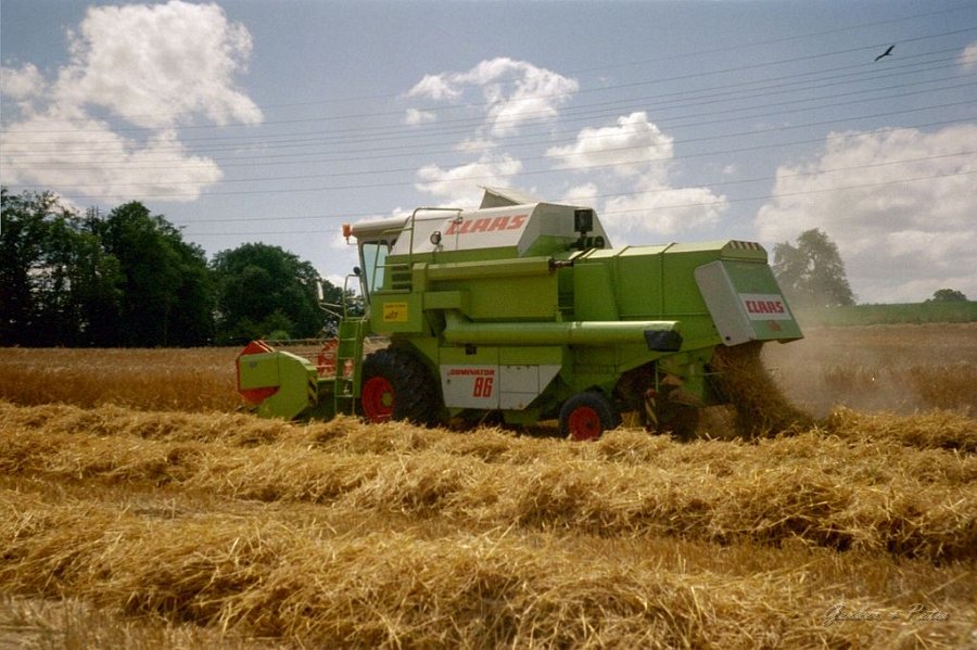 Claas Drescher 14